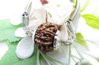 10 Mukhi Rudraksha Bracelet - Divine Protection | Brahmatells by Brahmatells