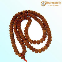 10 Mukhi Rudraksha Mala - Ultimate Shield of Lord Vishnu | Brahmatells by Brahmatells