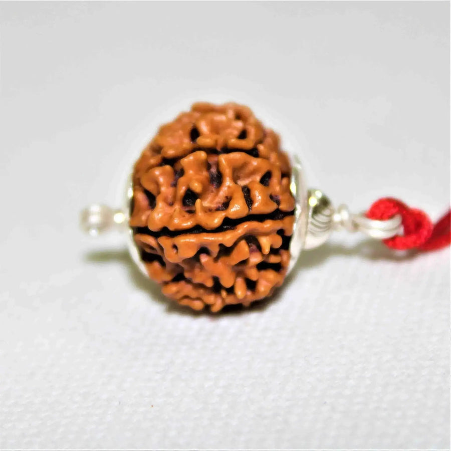 10 Mukhi Rudraksha Silver Cap Pendant - Divine Shield of Lord Vishnu | Brahmatells by Brahmatells
