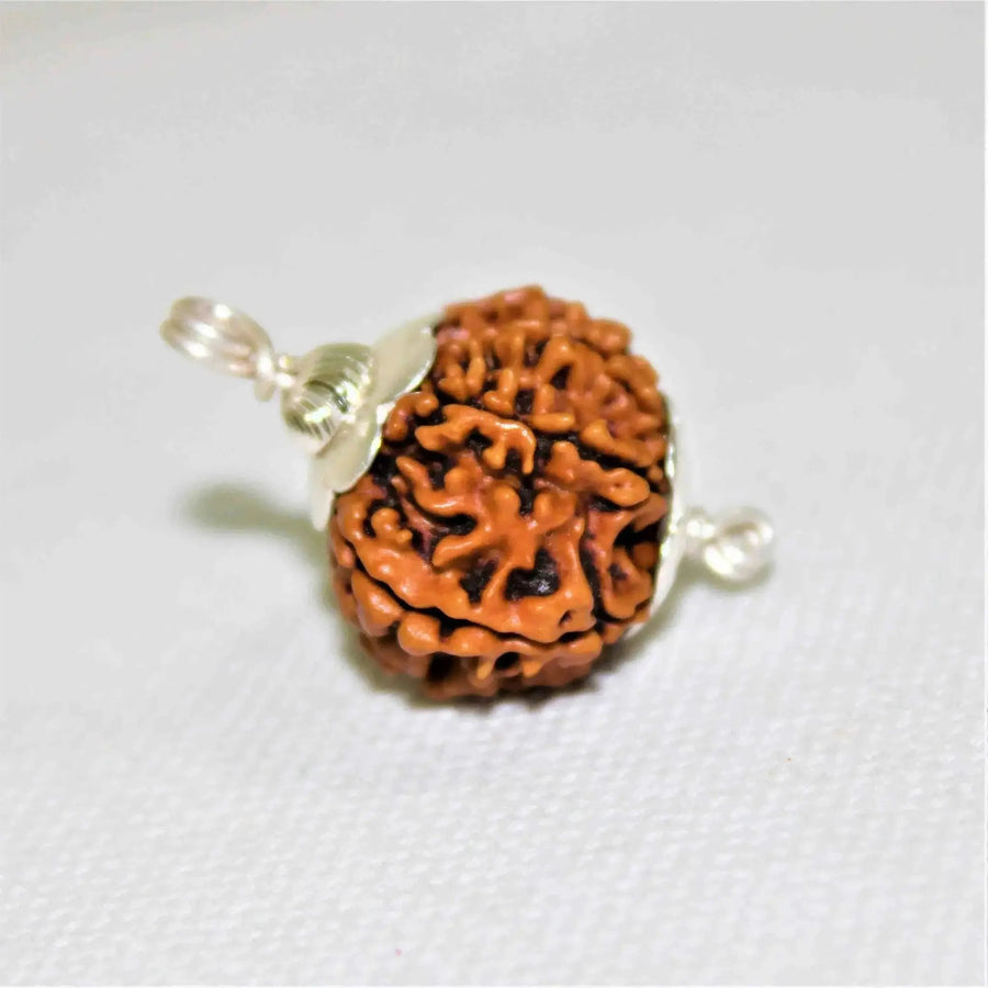 10 Mukhi Rudraksha Silver Cap Pendant - Divine Shield of Lord Vishnu | Brahmatells by Brahmatells