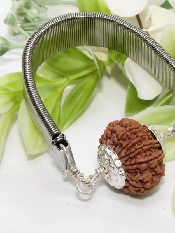 11 Mukhi Rudraksh Bracelet for Spiritual Mastery | Brahmatells by Brahmatells