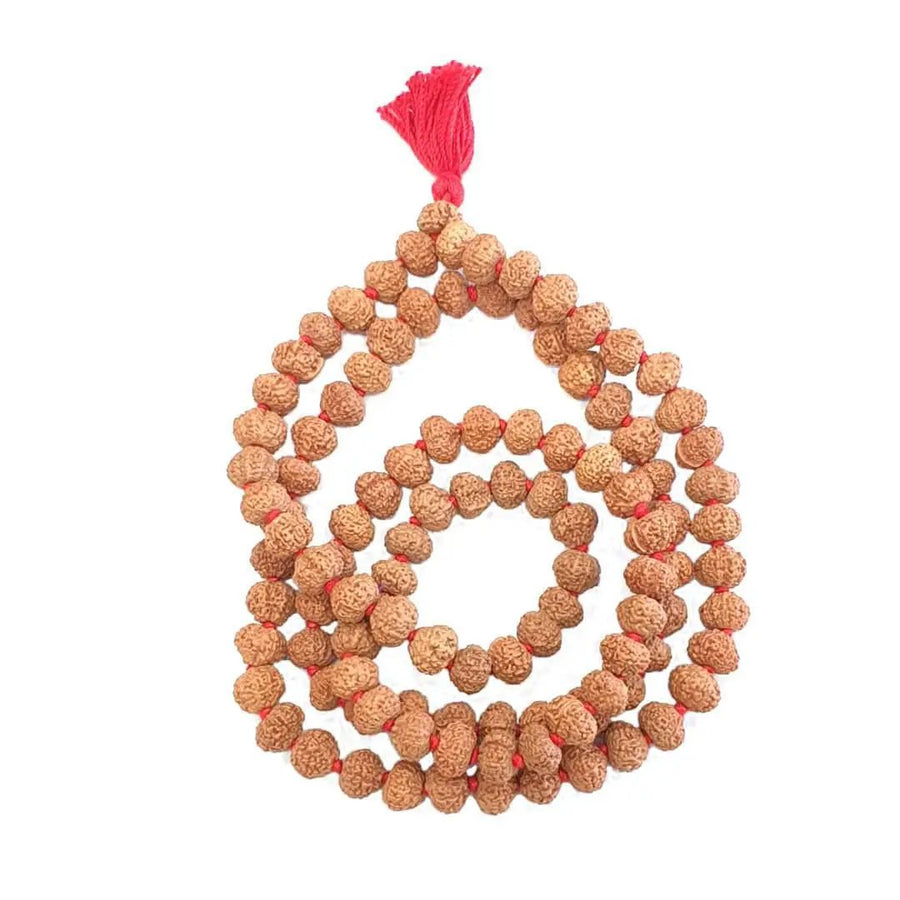 11 Mukhi Rudraksha Mala - Harness the Power of Ekadasha Rudra | Brahmatells by Brahmatells