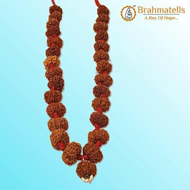 11 Mukhi Rudraksha Mala - Harness the Power of Ekadasha Rudra | Brahmatells by Brahmatells