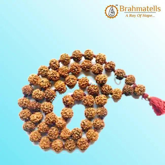 11 Mukhi Rudraksha Mala - Harness the Power of Ekadasha Rudra | Brahmatells by Brahmatells