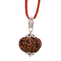 11 Mukhi Rudraksha Silver Pendant - Power of Ekadasha Rudra | Brahmatells by Brahmatells