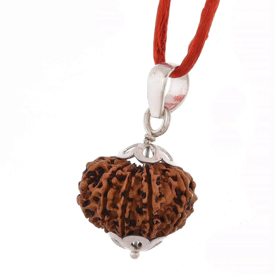 11 Mukhi Rudraksha Silver Pendant - Power of Ekadasha Rudra | Brahmatells by Brahmatells