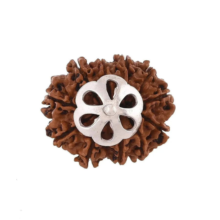 11 Mukhi Rudraksha Silver Pendant - Power of Ekadasha Rudra | Brahmatells by Brahmatells
