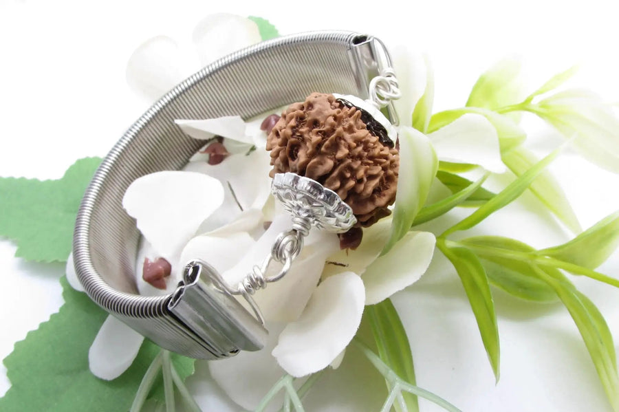 12 Mukhi Rudraksha Bracelet - Radiance & Leadership | Brahmatells by Brahmatells