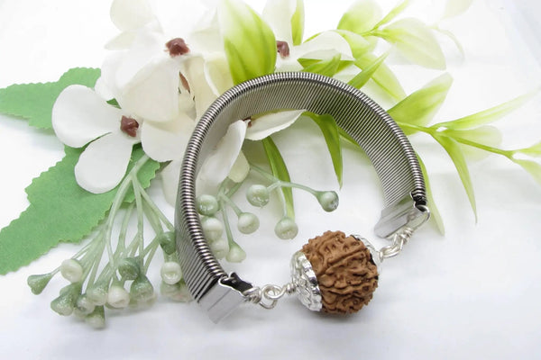 12 Mukhi Rudraksha Bracelet - Radiance & Leadership | Brahmatells by Brahmatells