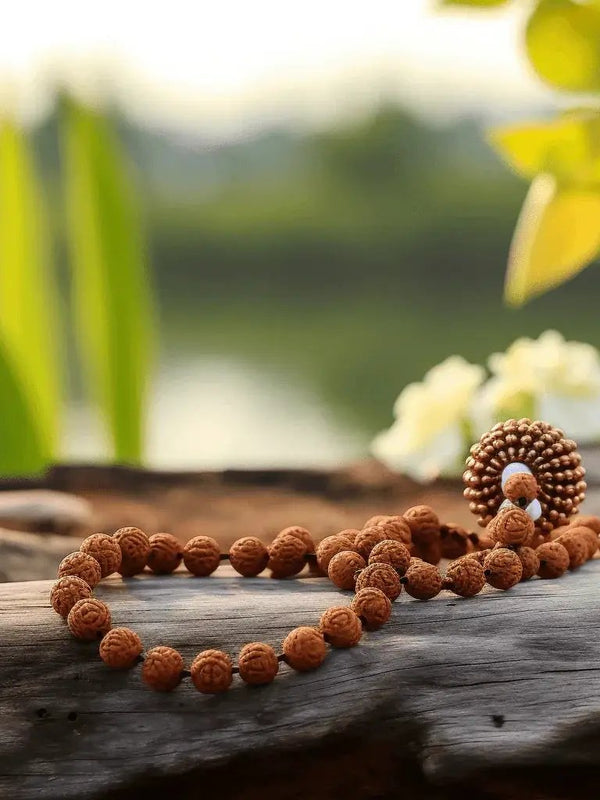 12 Mukhi Rudraksha Mala for Empowerment & Radiance | Brahmatells by Brahmatells
