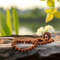 12 Mukhi Rudraksha Mala for Empowerment & Radiance | Brahmatells by Brahmatells