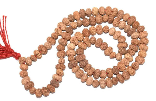 12 Mukhi Rudraksha Mala for Empowerment & Radiance | Brahmatells by Brahmatells