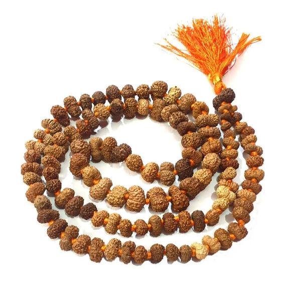 12 Mukhi Rudraksha Mala for Empowerment & Radiance | Brahmatells by Brahmatells