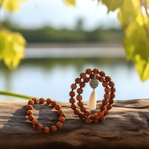 12 Mukhi Rudraksha Mala for Empowerment & Radiance | Brahmatells by Brahmatells