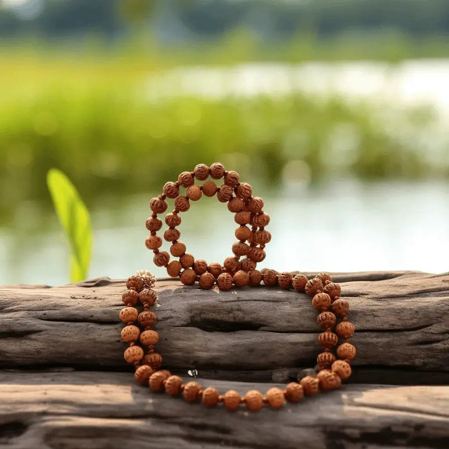 12 Mukhi Rudraksha Mala for Empowerment & Radiance | Brahmatells by Brahmatells