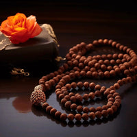 12 Mukhi Rudraksha Mala for Empowerment & Radiance | Brahmatells by Brahmatells