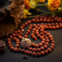 12 Mukhi Rudraksha Mala for Empowerment & Radiance | Brahmatells by Brahmatells