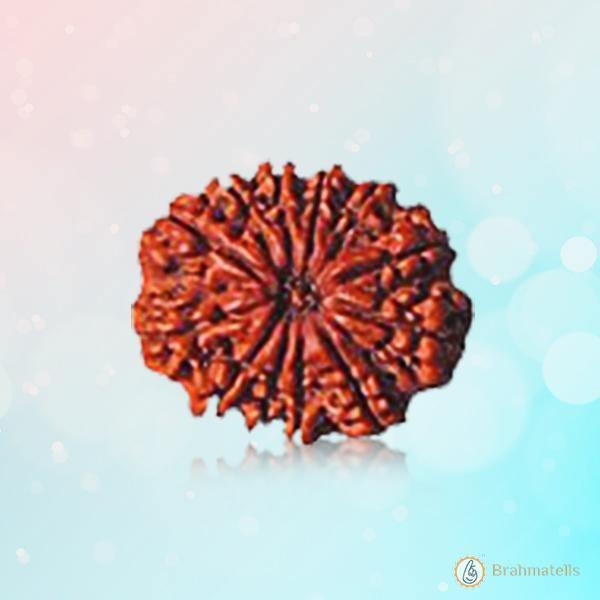12 Mukhi Rudraksha Pendant - Empowerment & Radiance | Brahmatells by Brahmatells