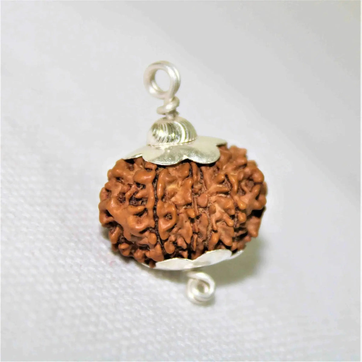 12 Mukhi Rudraksha Silver Cap Pendant - Divine Radiance & Leadership | Brahmatells by Brahmatells