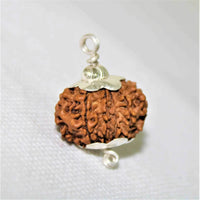 12 Mukhi Rudraksha Silver Cap Pendant - Divine Radiance & Leadership | Brahmatells by Brahmatells