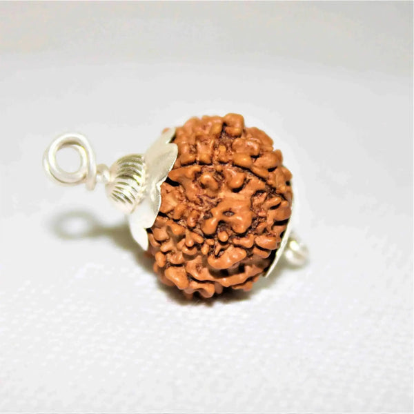 12 Mukhi Rudraksha Silver Cap Pendant - Divine Radiance & Leadership | Brahmatells by Brahmatells