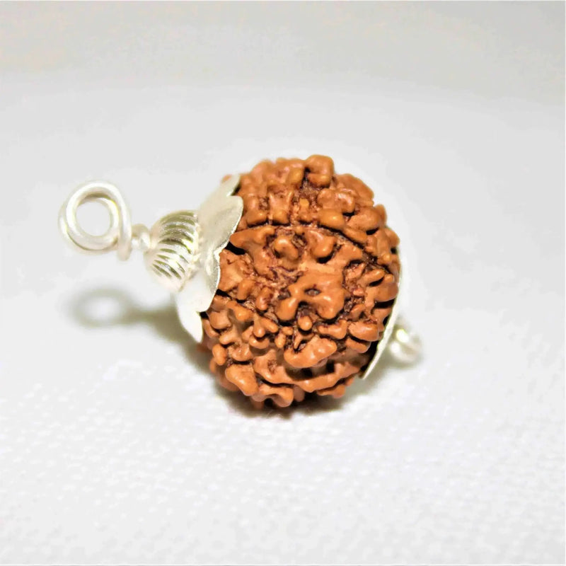 12 Mukhi Rudraksha Silver Cap Pendant - Divine Radiance & Leadership | Brahmatells by Brahmatells