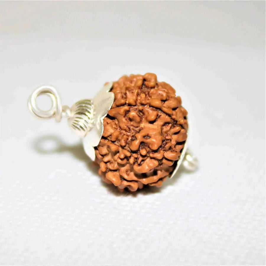 12 Mukhi Rudraksha Silver Cap Pendant - Divine Radiance & Leadership | Brahmatells by Brahmatells