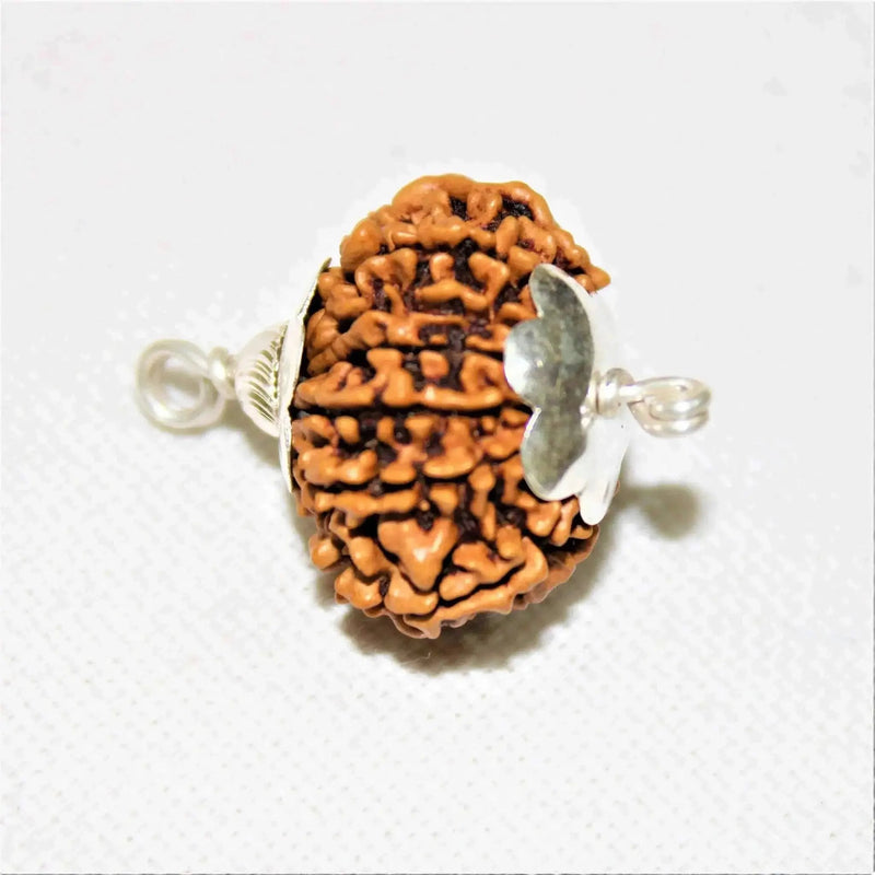 12 Mukhi Rudraksha Silver Cap Pendant - Divine Radiance & Leadership | Brahmatells by Brahmatells