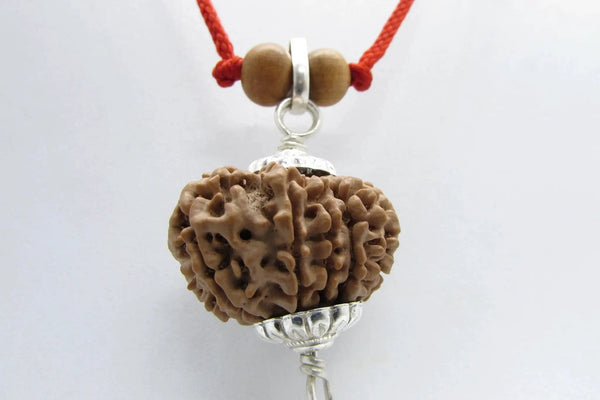 12 Mukhi Rudraksha Pendant with Surya Symbol in Silver - Spiritual Jewelry for Leadership & Clarity by Brahmatells