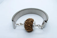 13 Mukhi Rudraksha Bracelet - Charisma & Fulfillment | Brahmatells by Brahmatells