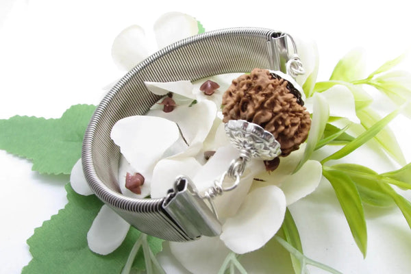 13 Mukhi Rudraksha Bracelet - Charisma & Fulfillment | Brahmatells by Brahmatells