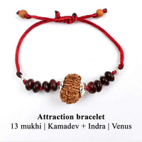 13 Mukhi Rudraksha Bracelet - Magnetize Your Presence | Brahmatells by Brahmatells