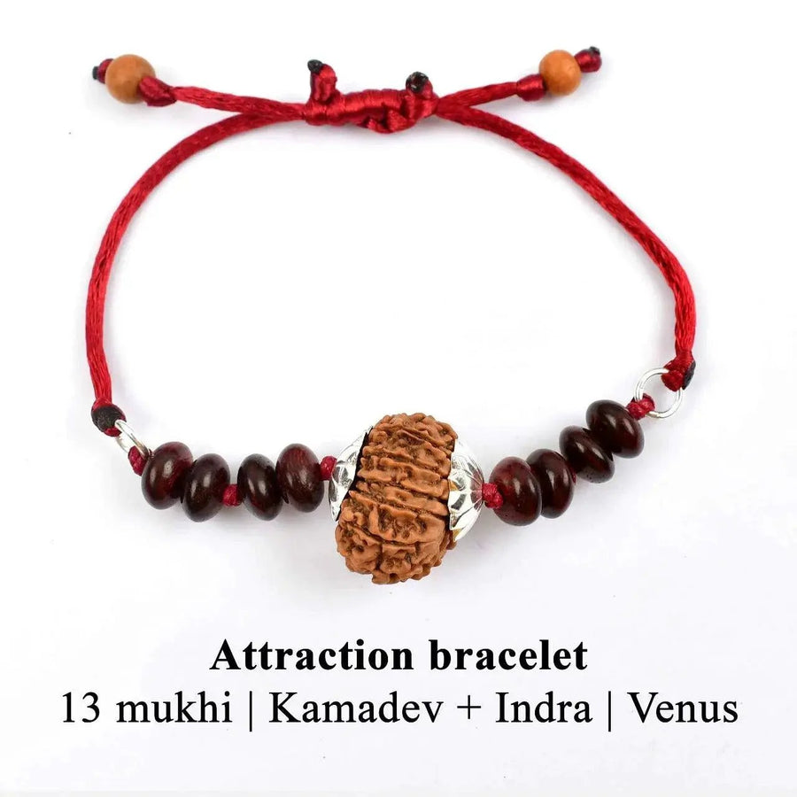 13 Mukhi Rudraksha Bracelet - Magnetize Your Presence | Brahmatells by Brahmatells