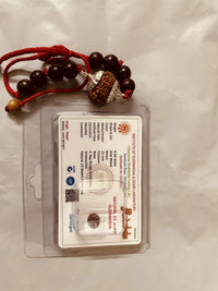 13 Mukhi Rudraksha Bracelet - Magnetize Your Presence | Brahmatells by Brahmatells