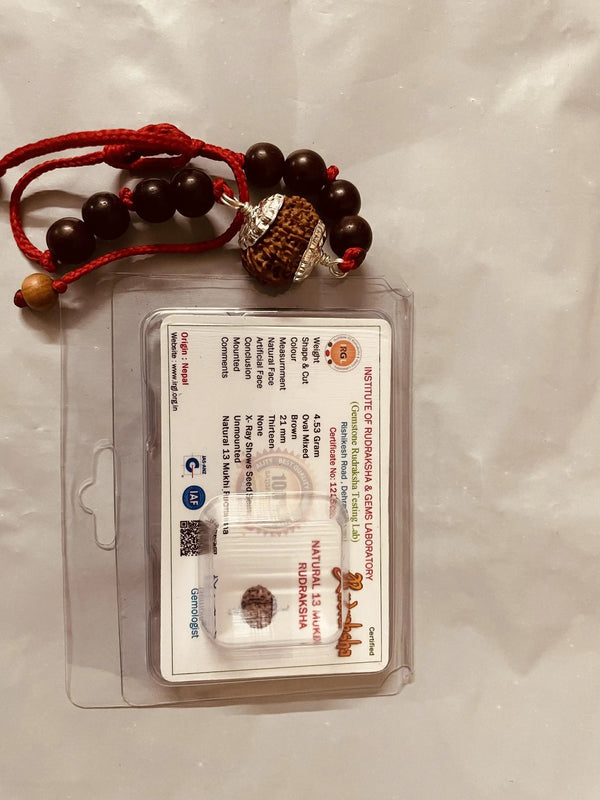 13 Mukhi Rudraksha Bracelet - Magnetize Your Presence | Brahmatells by Brahmatells