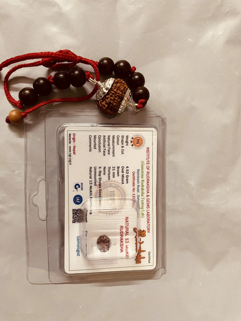 13 Mukhi Rudraksha Bracelet - Magnetize Your Presence | Brahmatells by Brahmatells