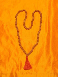 13 Mukhi Rudraksha Java - Charisma & Attraction Unlocked | Brahmatells by Brahmatells