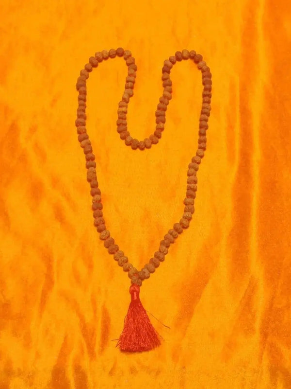 13 Mukhi Rudraksha Java - Charisma & Attraction Unlocked | Brahmatells by Brahmatells