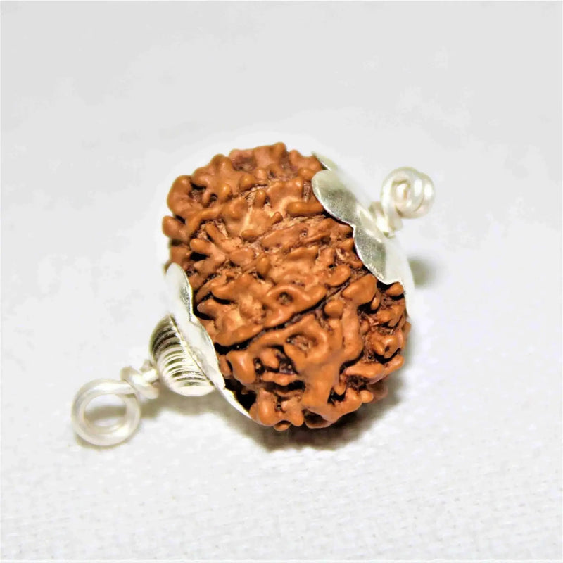 13 Mukhi Rudraksha Silver Cap Pendant - Unleash Charisma & Success | Brahmatells by Brahmatells