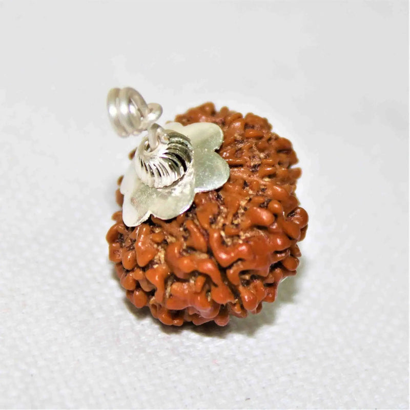 13 Mukhi Rudraksha Silver Cap Pendant - Unleash Charisma & Success | Brahmatells by Brahmatells