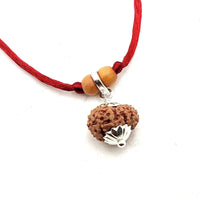 13 Mukhi Rudraksha Silver Cap Pendant - Unleash Charisma & Success | Brahmatells by Brahmatells