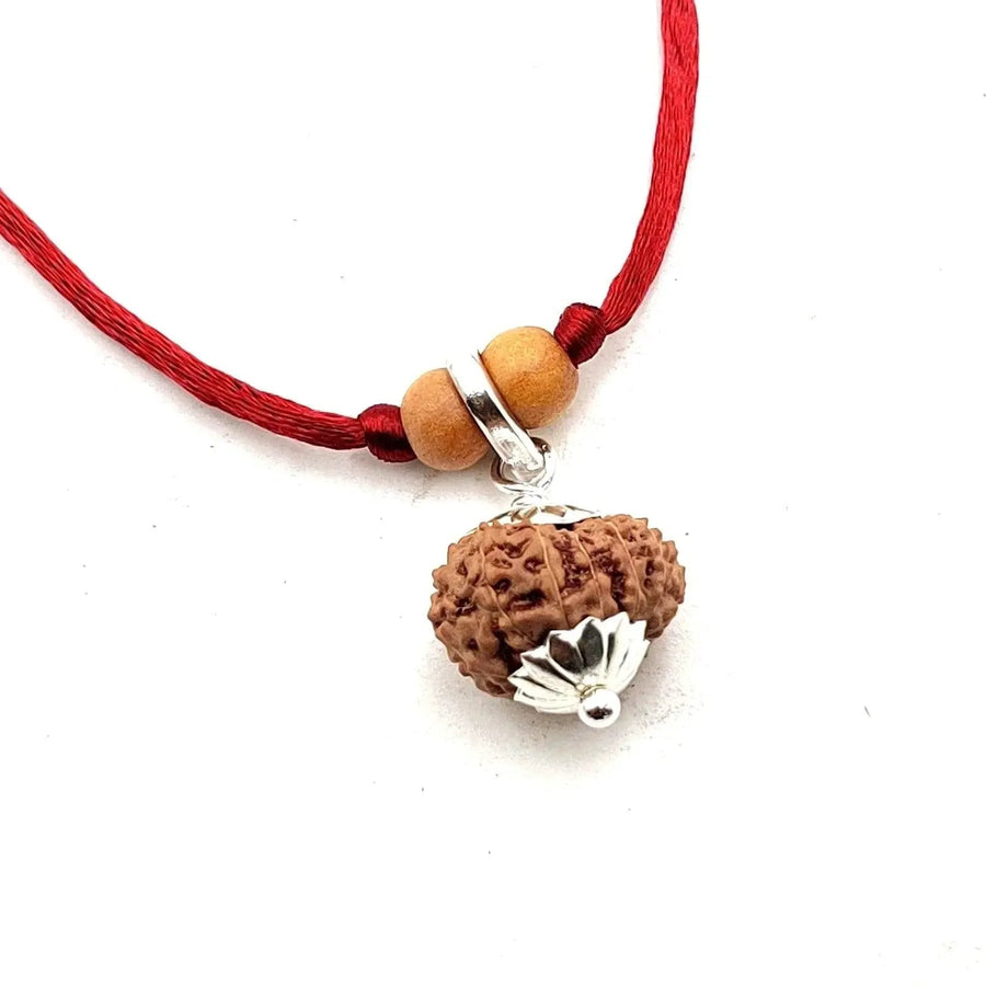 13 Mukhi Rudraksha Silver Cap Pendant - Unleash Charisma & Success | Brahmatells by Brahmatells