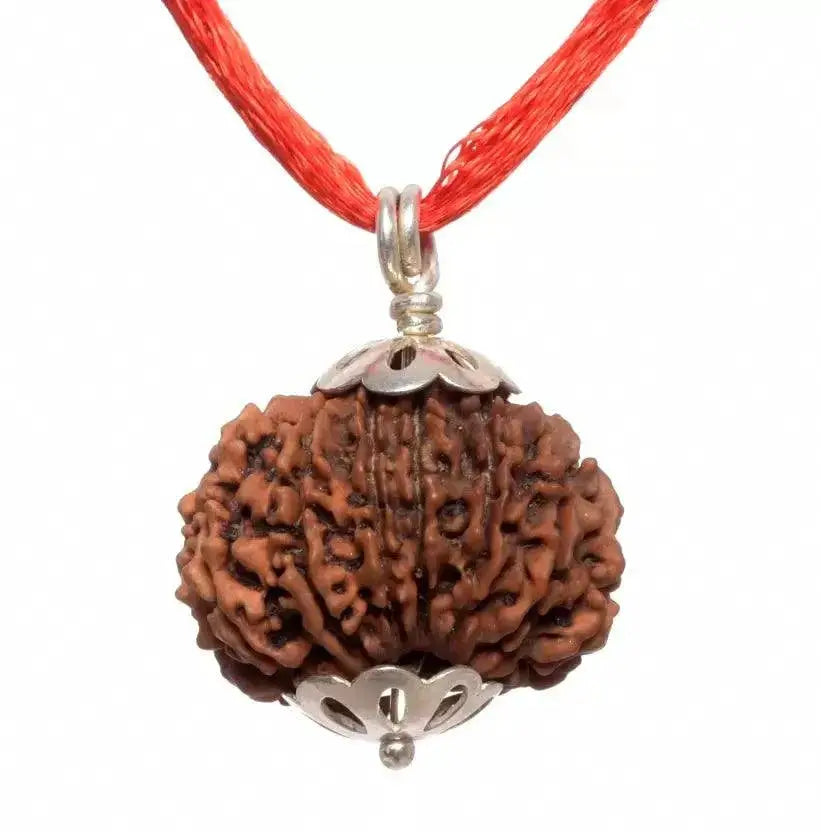 14 Mukhi Rudraksha Pendant: Unleash Paramshiva's Power | Brahmatells by Brahmatells