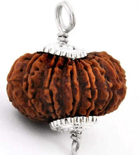 14 Mukhi Rudraksha Pendant: Unleash Paramshiva's Power | Brahmatells by Brahmatells