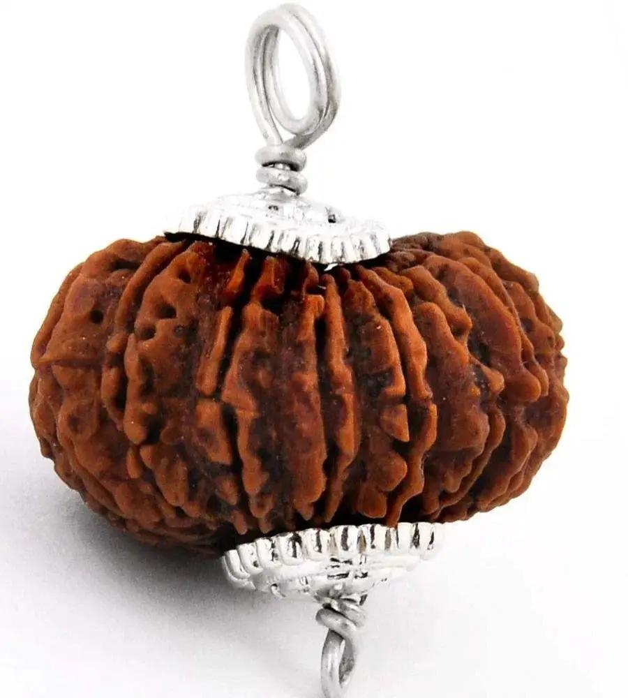 14 Mukhi Rudraksha Pendant: Unleash Paramshiva's Power | Brahmatells by Brahmatells
