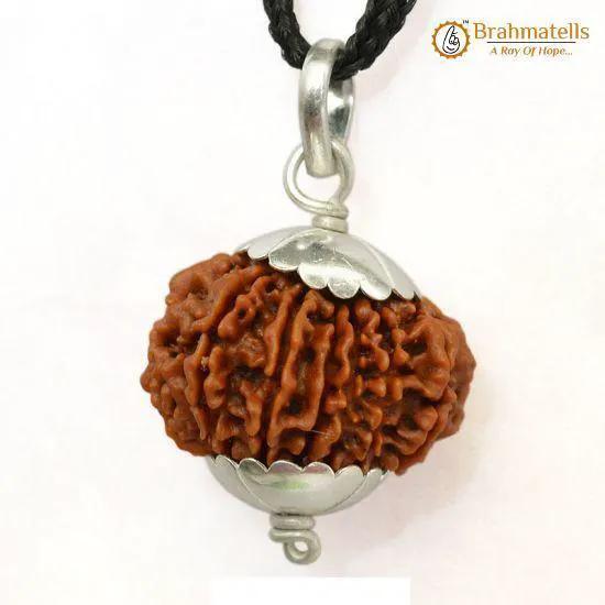 14 Mukhi Rudraksha Pendant: Unleash Paramshiva's Power | Brahmatells by Brahmatells