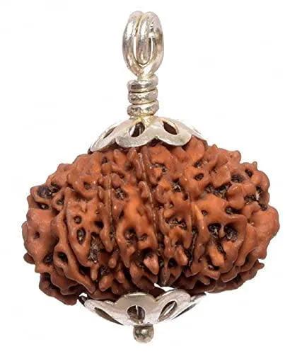 14 Mukhi Rudraksha Silver Pendant - Harness the Power of Paramshiva | Brahmatells by Brahmatells