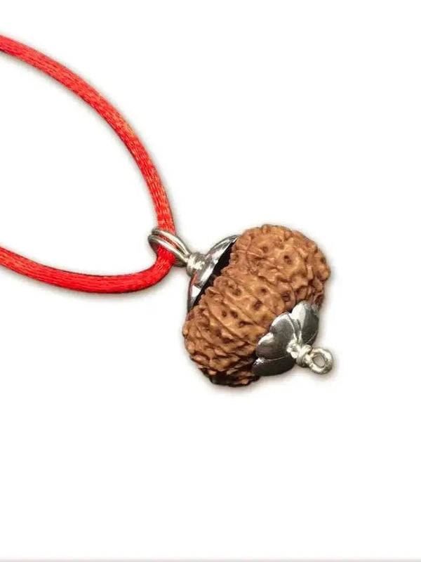 15 Mukhi Rudraksha Silver Pendant - Unleash Jupiter's Blessings | Brahmatells by Brahmatells