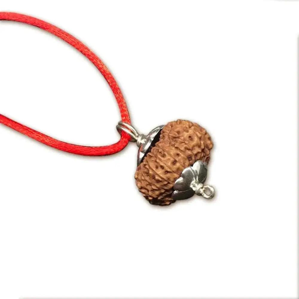 15 Mukhi Rudraksha Silver Pendant - Unleash Jupiter's Blessings | Brahmatells by Brahmatells