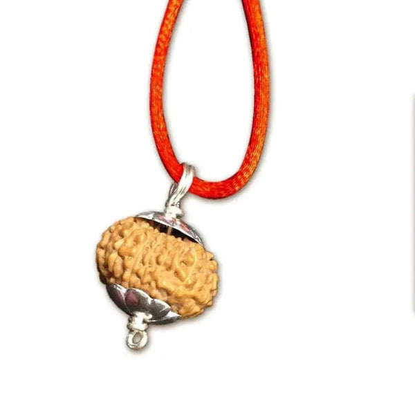 15 Mukhi Rudraksha Silver Pendant - Unleash Jupiter's Blessings | Brahmatells by Brahmatells